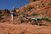 Ruffwear Swamp Cooler Harness - Final Sale*